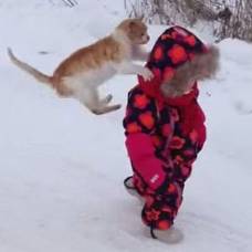Зимние забавы рыжего кота