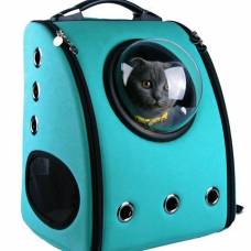 Необычный рюкзак-переноска для кошки-путешественницы