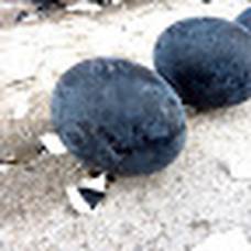 Чёрные яйца, или куро-тамаго