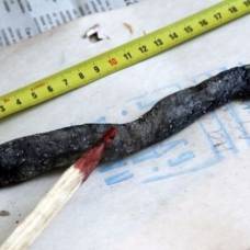 Житель казахстана обнаружил в угле загадочного червя