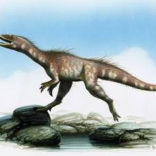 В уэльсе обнаружены останки самого древнего динозавра-вора юрского периода