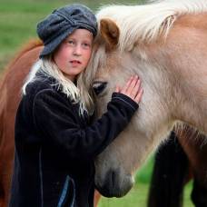 Лошади способны понимать эмоции человека