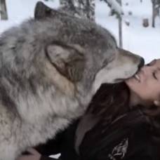 Эта девушка не боится серого волка