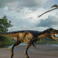 Как тираннозавр стал королём мелового периода