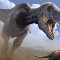 Всем известные динозавры выглядят совсем не так, как мы привыкли считать