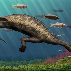 Молотоголовый динозавр стал древнейшим из известных морских вегетарианцев