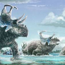 Два новых вида рогатых динозавров с изогнутыми шипами пополнили список цератопсов