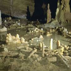 Обнаружены таинственные подземные кольца, построенные неандертальцами