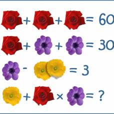Головоломка: чему равен определенный цветок?