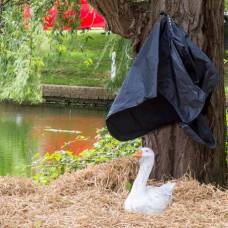 В британской деревне открыли памятник гусю, которого убили одичавшие утки