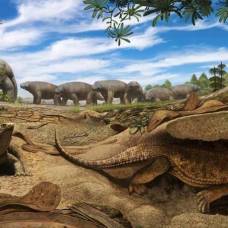 Палеонтологи рассказали, как черепахи обзавелись панцирями
