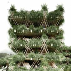 Китайские архитекторы создали многоэтажный «дом на дереве» без единого гвоздя