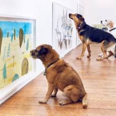 В лондоне открылась первая выставка современного искусства для собак