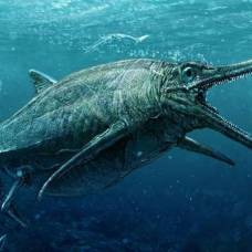 Найдены останки "морского дракона"