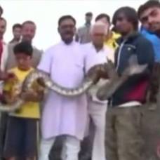 В индии мужчину укусила змея, когда он делал селфи