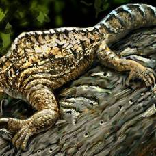 Палеонтологи восстановили внешность загадочного доисторического существа