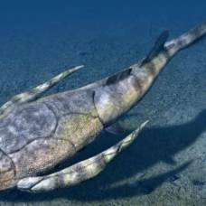 Bothriolepis rex: гигантская панцирная рыба девонского периода
