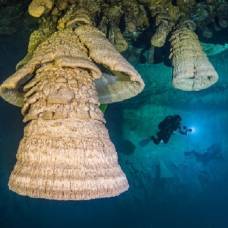 Адские колокола в подводной пещере сапоте, мексика