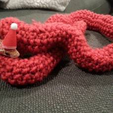 На рождество змее подарили свитер и колпак