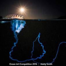 Лучшие подводные фотографии 2016 года