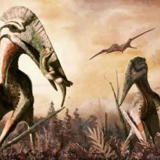 В трансильвании найдены останки птерозавра, лакомившегося динозаврами размером с лошадь