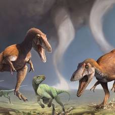 Палеонтологи выяснили, как и для чего протодинозавры освоили хождение на двух ногах