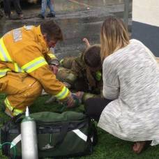 Пожарные спасли собаку, сделав ей искусственное дыхание ртом