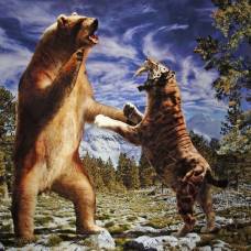 Короткомордый медведь (лат. arctodus simus)