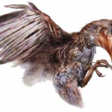 Впервые найден птенец, застывший в янтаре 99 миллионов лет назад