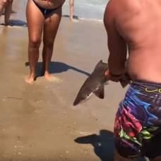 Отдыхающие голыми руками спасли акулу, выбросившуюся на пляж