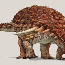 Огромный "бронированный" динозавр носил камуфляж, чтобы укрываться от хищников