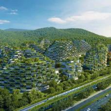 В китае строят уникальный город-лес