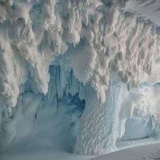 В тёплых пещерах под ледниками антарктиды процветает жизнь