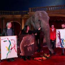 Рисунки венгерской слонихи выставлены на аукционе