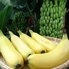 В японии начали выращивать бананы со съедобной кожурой