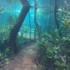 Река с кристально чистой водой вышла из берегов, превратив бразильский тропический лес в подводную страну чудес
