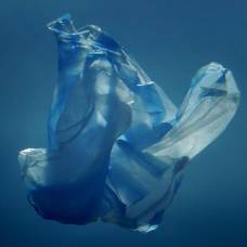 Greenpeace показал детям океан будущего с мусором вместо рыб
