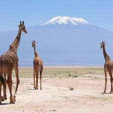 Красивейшие национальные парки кении
