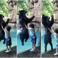 Кто выше прыгнет: игра мальчика и медведя