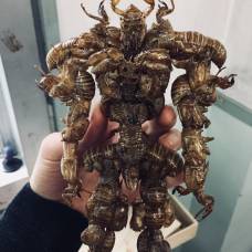 Японский школьник делает статуэтки из живых насекомых