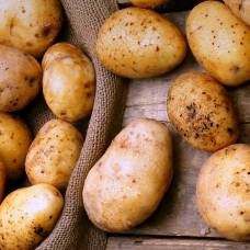 Парадокс картофеля