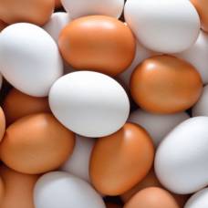 Какая разница между коричневыми и белыми яйцами