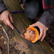 Стиральный порошок из грибов — изобретение из дании