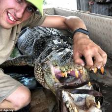 Биолог оседлал гигантского крокодила и выжил