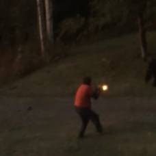 Нападение медведя на отстреливающегося жителя канады попало на видео