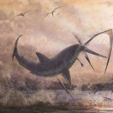 Найден птерозавр, убитый акулой
