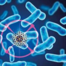 10 смертельных вирусов и бактерий, созданных в лабораториях