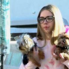 Юная американка с помощью подушки отбила у ястреба своего щенка