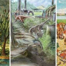 Разнообразие жизни на земле не изменилось со времен динозавров