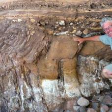 В канаде обнаружены удивительные следы древних червей возрастом 500 миллионов лет
